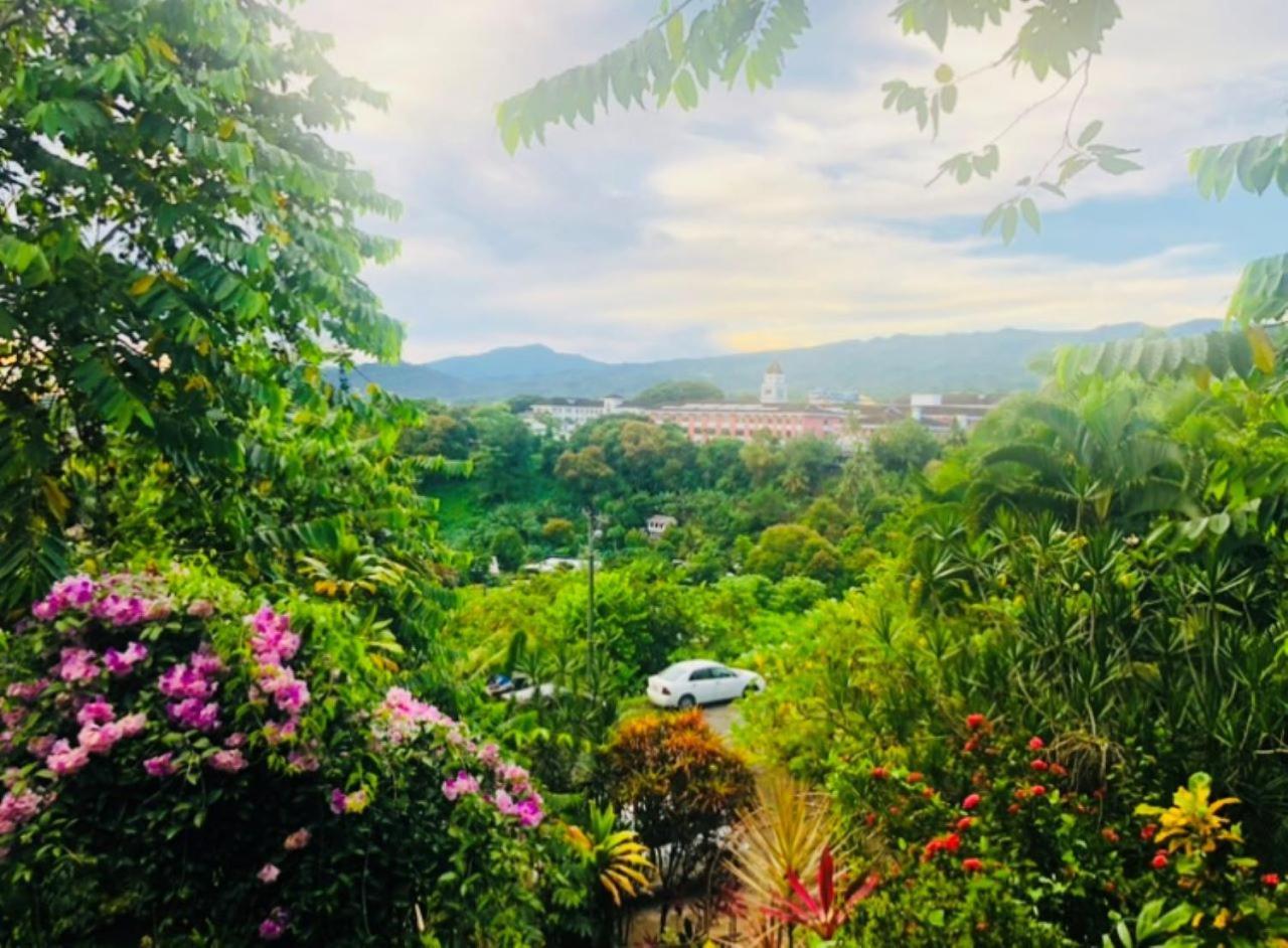 Apaula Heights Lounge Bed & Breakfast Apia Dış mekan fotoğraf